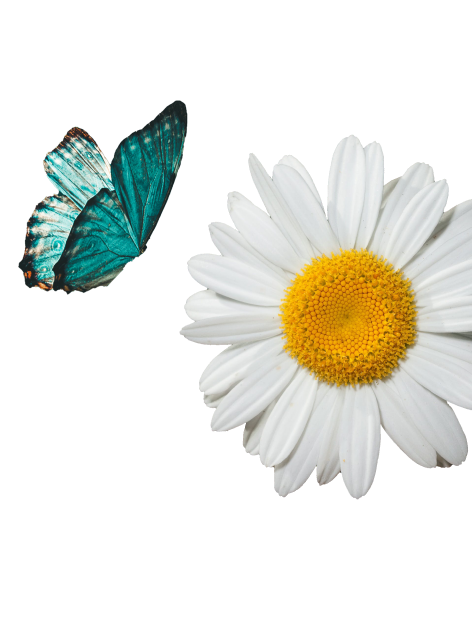 heliosinfosys main thumb